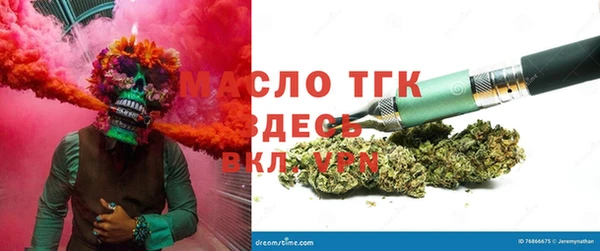 PSILOCYBIN Корсаков