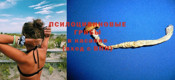 не бодяженный Богородицк