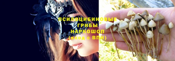 не бодяженный Богородицк