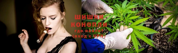 бошки Богданович