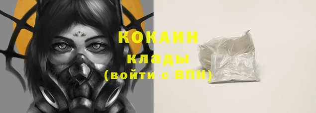 бошки Богданович