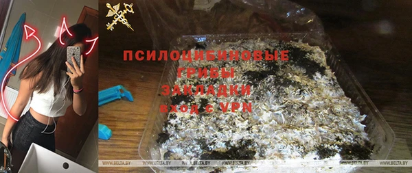бошки Богданович
