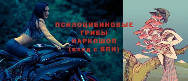 не бодяженный Богородицк