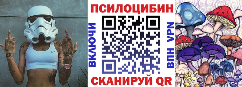 Галлюциногенные грибы Cubensis площадка какой сайт Буйнакск MEGA ссылки